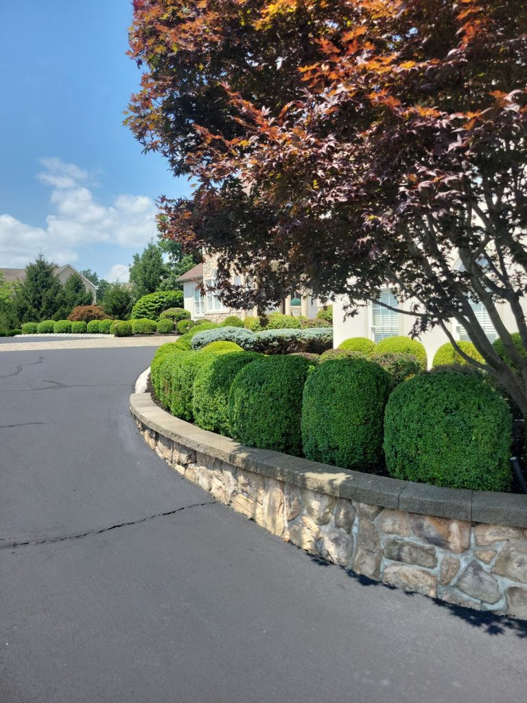 Foundation shrubs and wall edging by Hill Landscaping in Readington Township