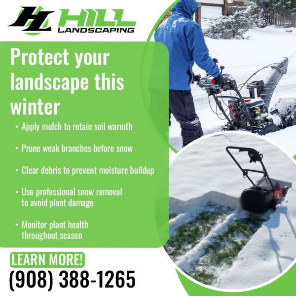 Hill Landscaping professional snow removal and winter landscape protection services helping prevent plant damage during winter.
