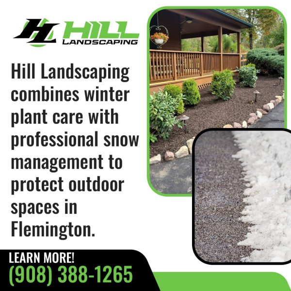 Hill Landscaping winter plant care and professional snow management services protecting residential outdoor spaces in Flemington.
