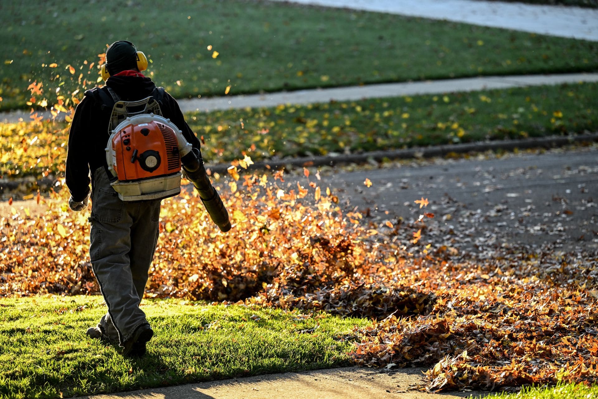 Leaf Removal Backpack Blower Service Leaf removal using a backpack blower